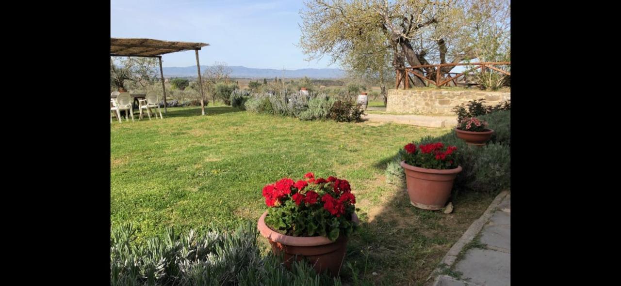 Agriturismo La Posta Reale Кастильон-Фибокки Экстерьер фото