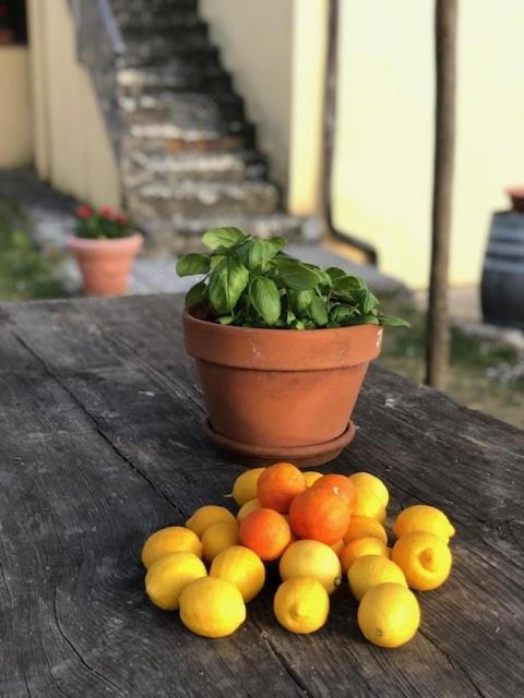 Agriturismo La Posta Reale Кастильон-Фибокки Экстерьер фото