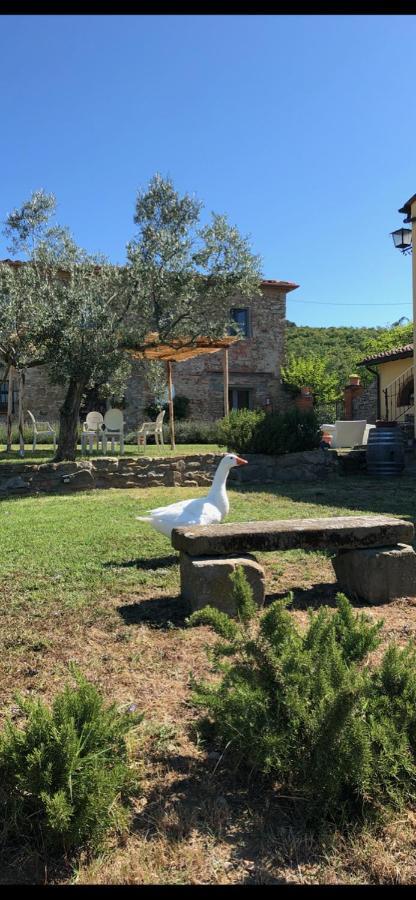 Agriturismo La Posta Reale Кастильон-Фибокки Экстерьер фото