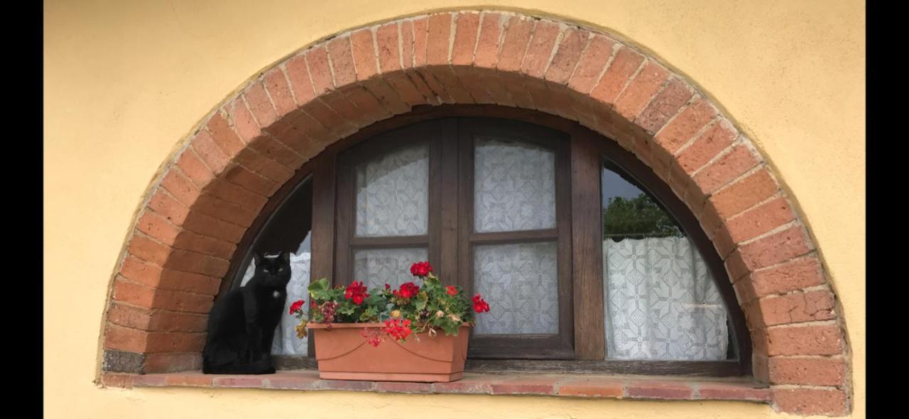 Agriturismo La Posta Reale Кастильон-Фибокки Экстерьер фото