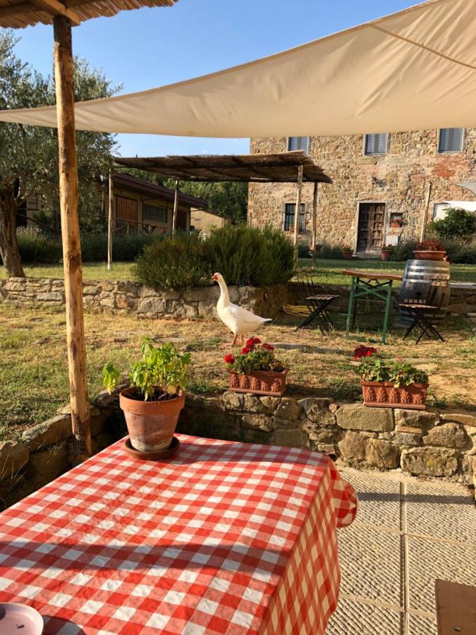 Agriturismo La Posta Reale Кастильон-Фибокки Экстерьер фото