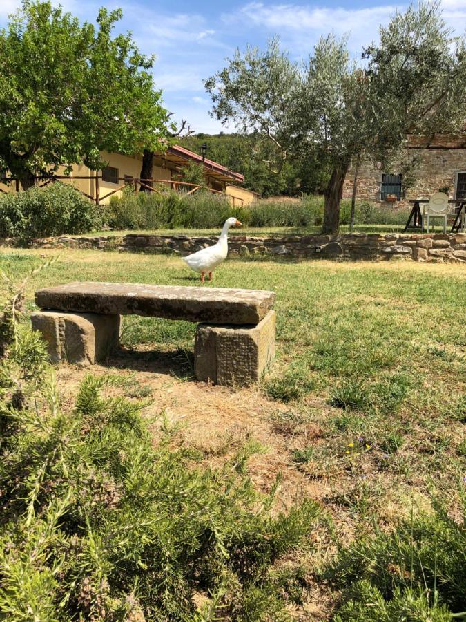 Agriturismo La Posta Reale Кастильон-Фибокки Экстерьер фото