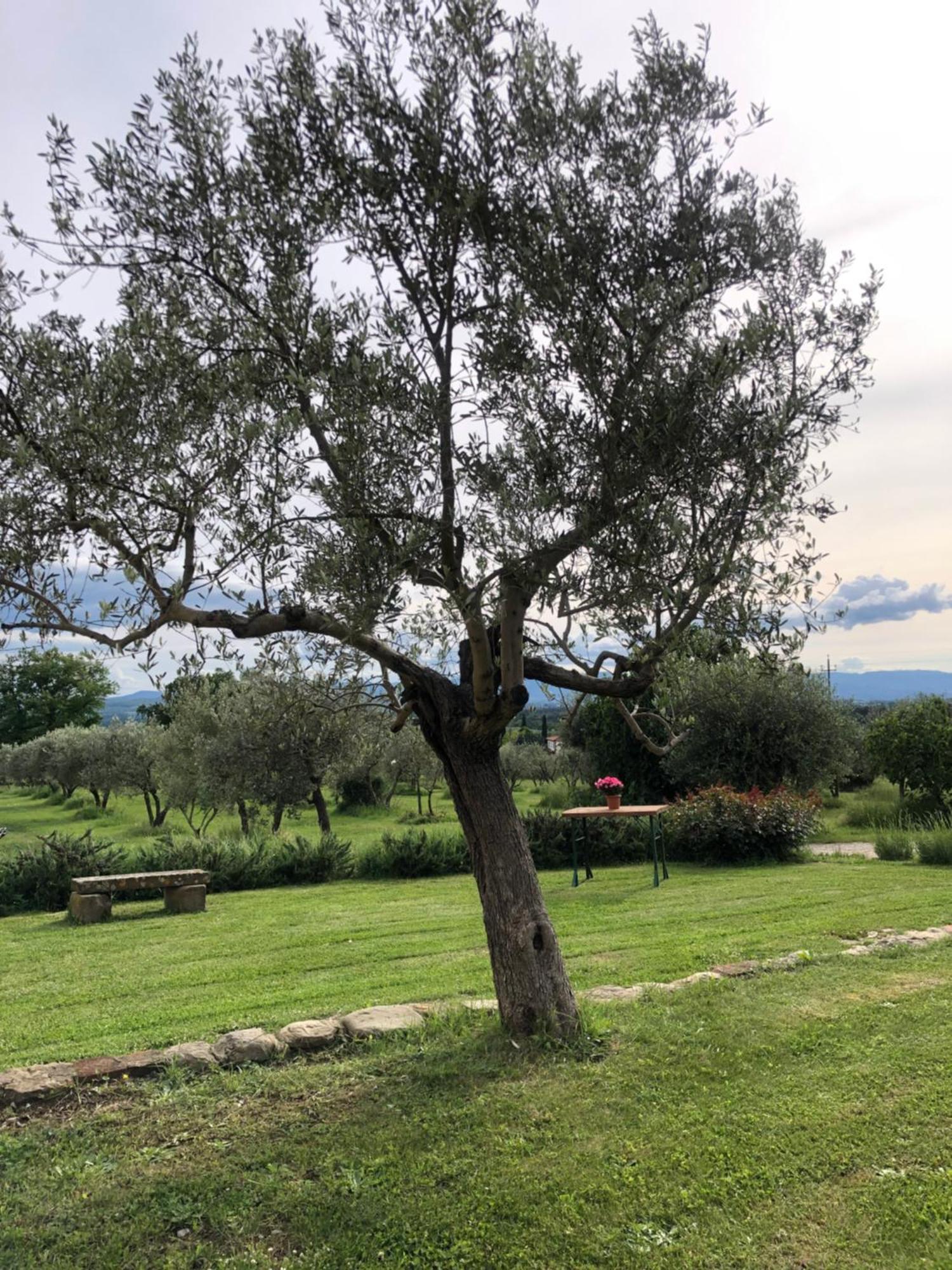Agriturismo La Posta Reale Кастильон-Фибокки Экстерьер фото