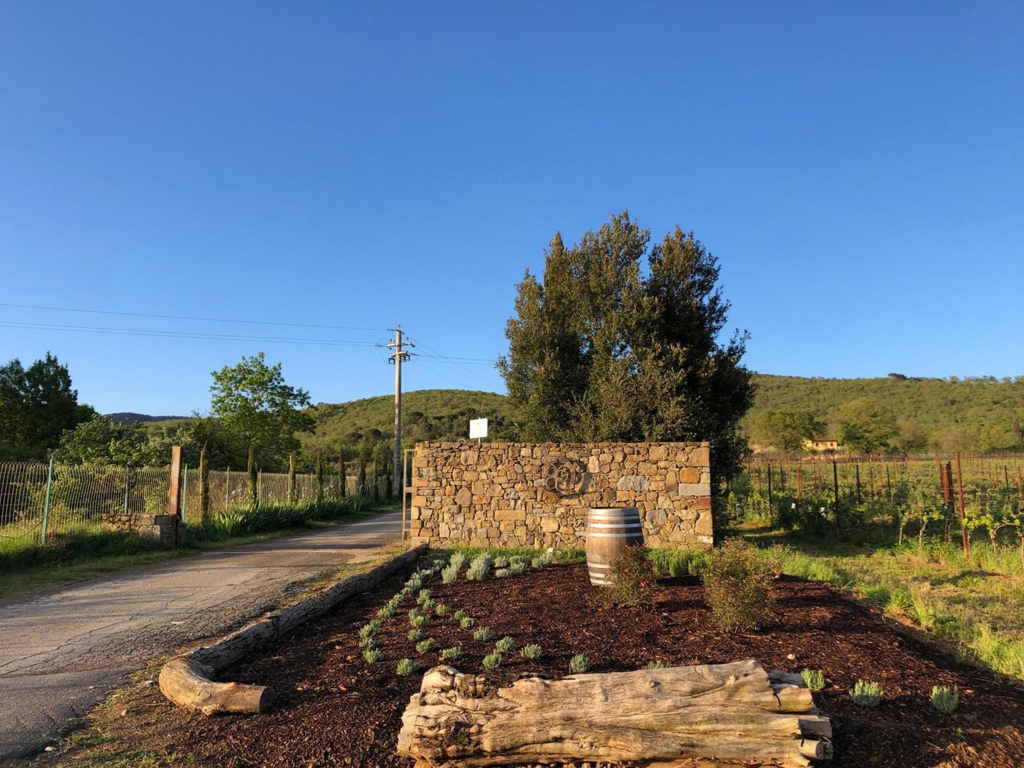 Agriturismo La Posta Reale Кастильон-Фибокки Экстерьер фото