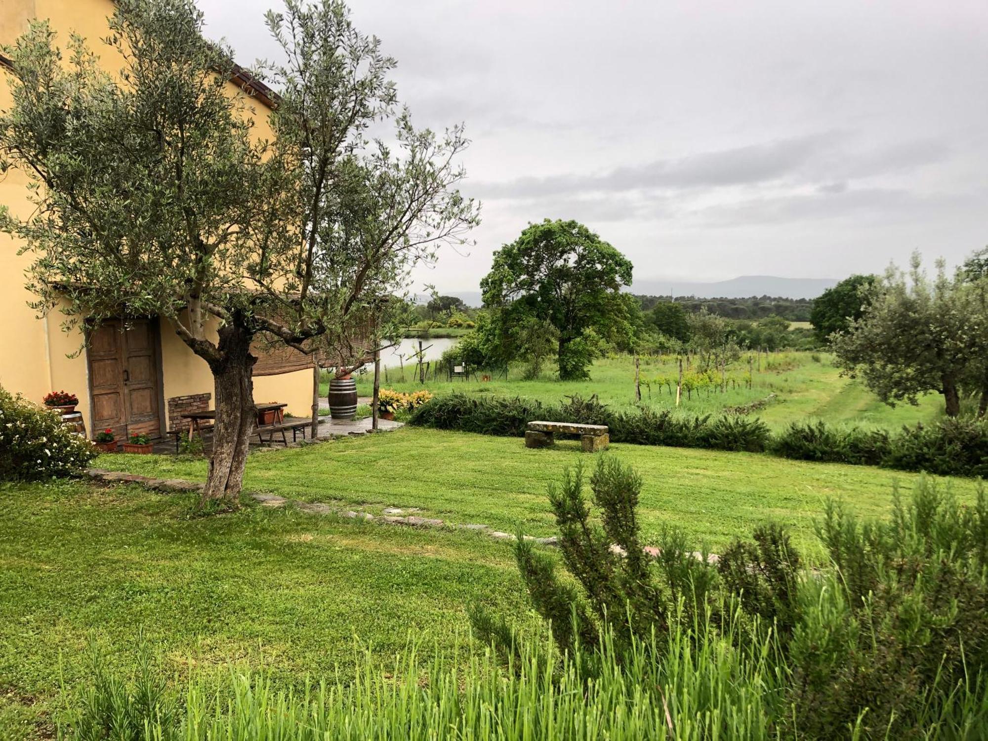 Agriturismo La Posta Reale Кастильон-Фибокки Экстерьер фото