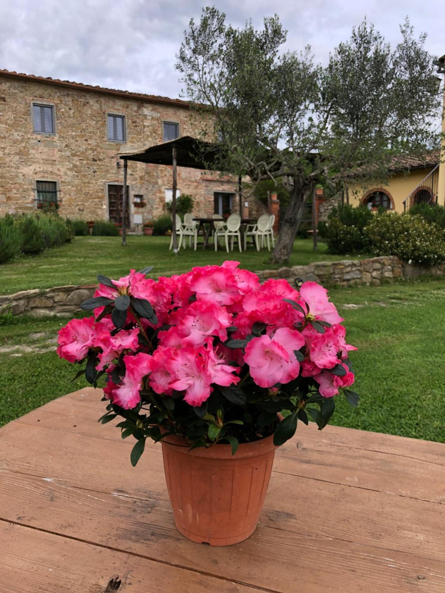 Agriturismo La Posta Reale Кастильон-Фибокки Экстерьер фото