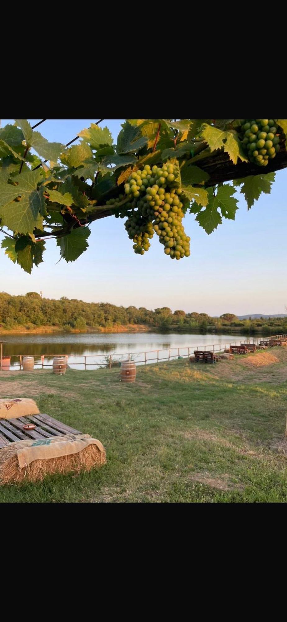Agriturismo La Posta Reale Кастильон-Фибокки Экстерьер фото