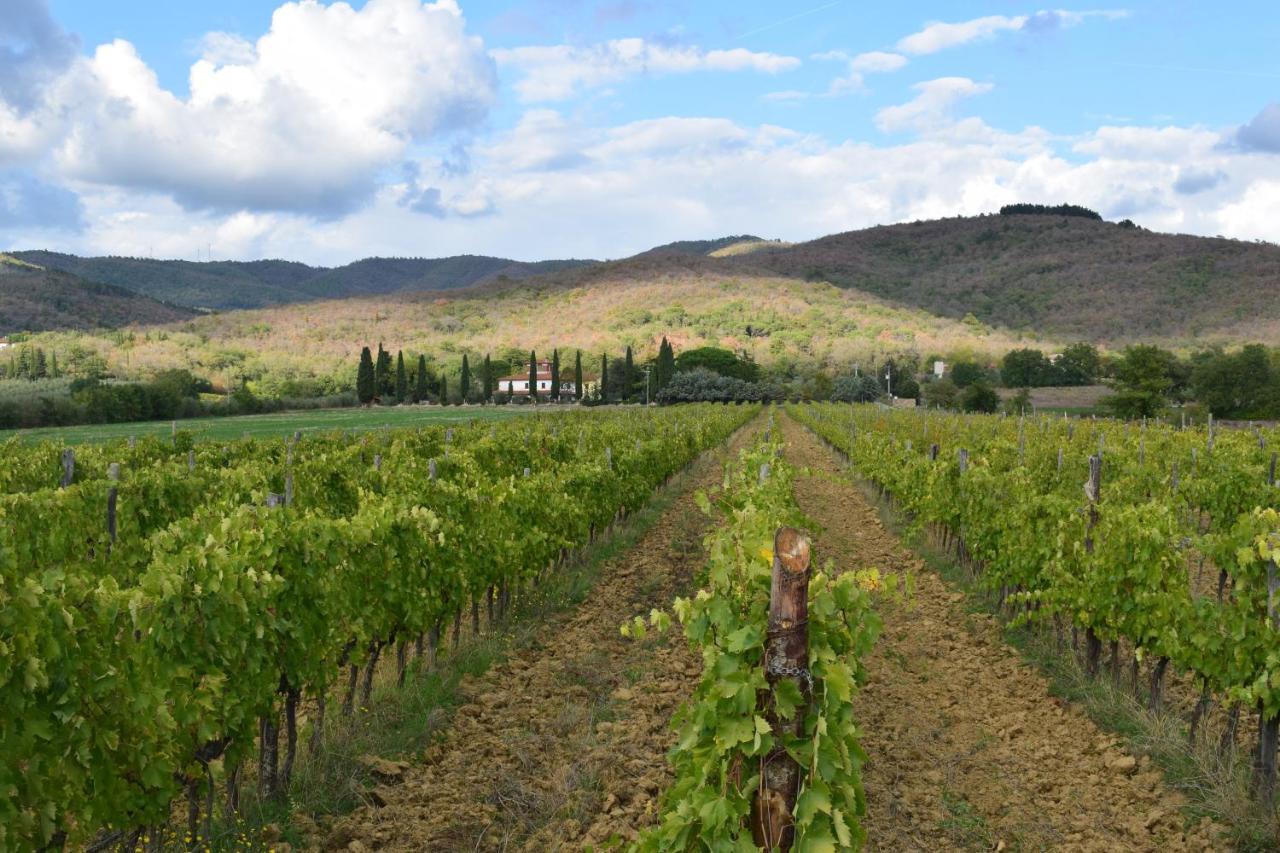 Agriturismo La Posta Reale Кастильон-Фибокки Экстерьер фото
