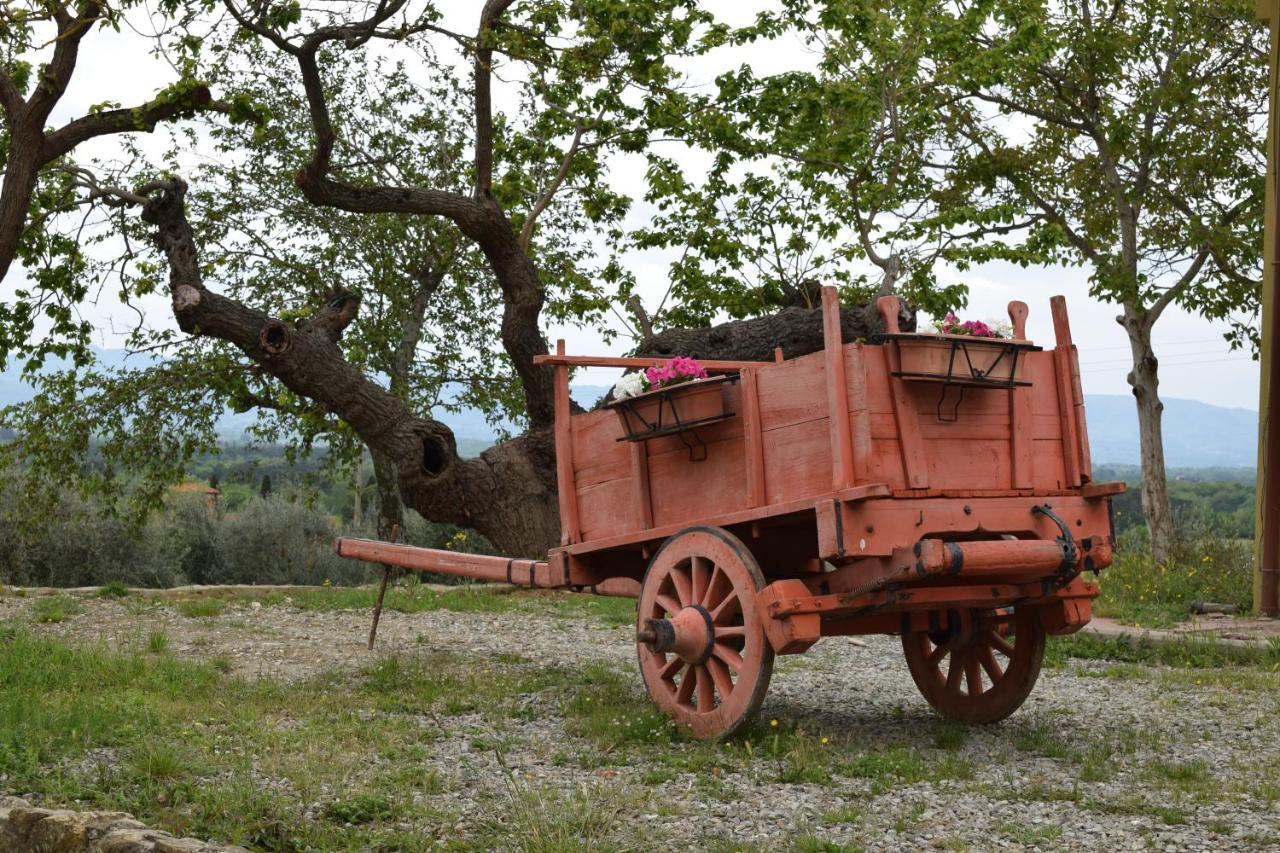 Agriturismo La Posta Reale Кастильон-Фибокки Экстерьер фото